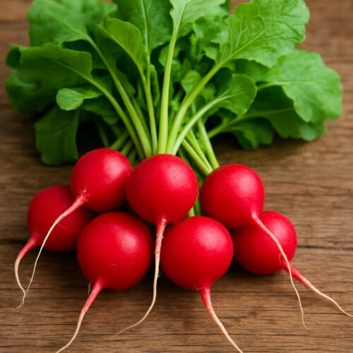 Manojos de rábano (8 piezas por manojo)